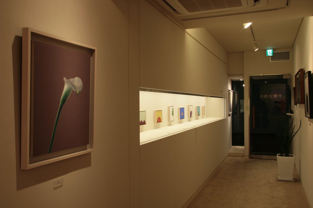 平野古陶軒での個展(2009年)