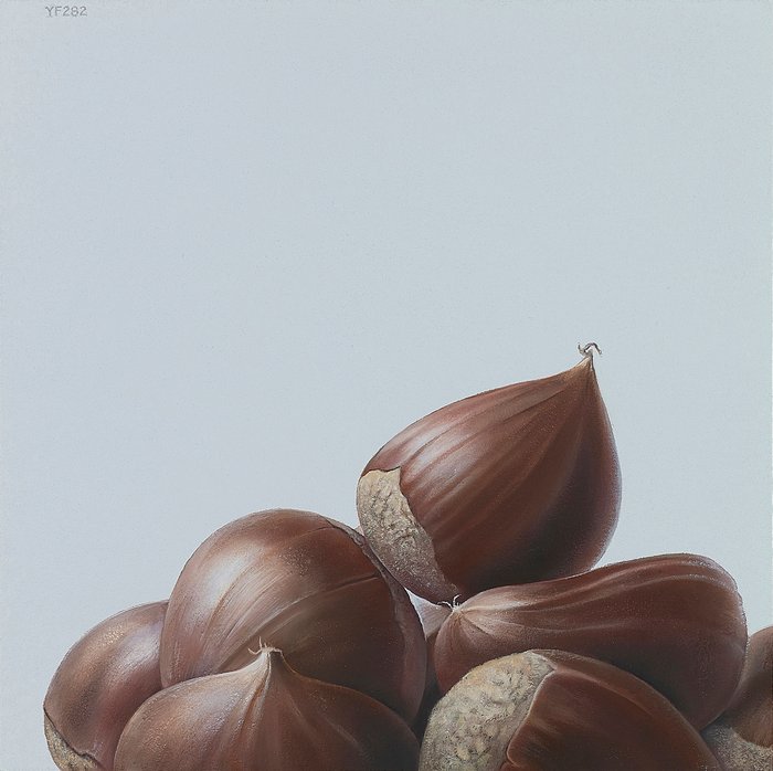 YF282
